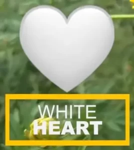 heart white snapchat