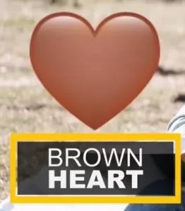 snapchat brown heart apple